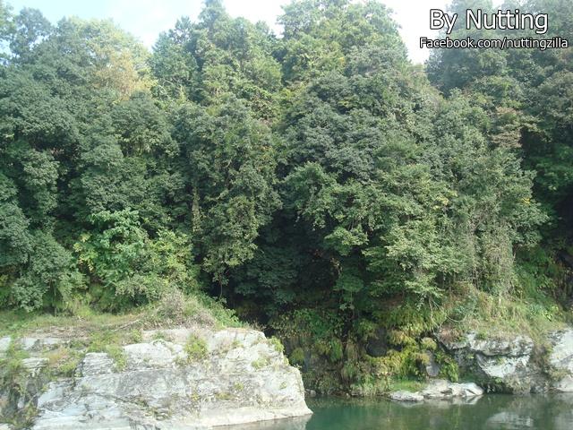 DSC03875.JPG